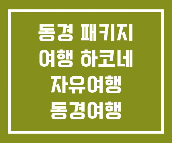 동경 패키지 여행 하코네 자유여행 동경여행 TOKYO TRIP 동경 패키지 여행 하코네 자유여행 동경여행 TOKYO TRIP