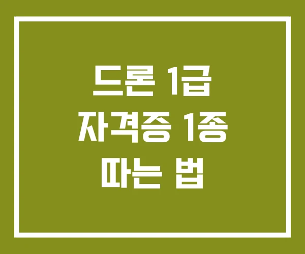 드론 1급 자격증 1종 따는 법