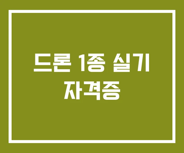 드론 1종 실기 자격증