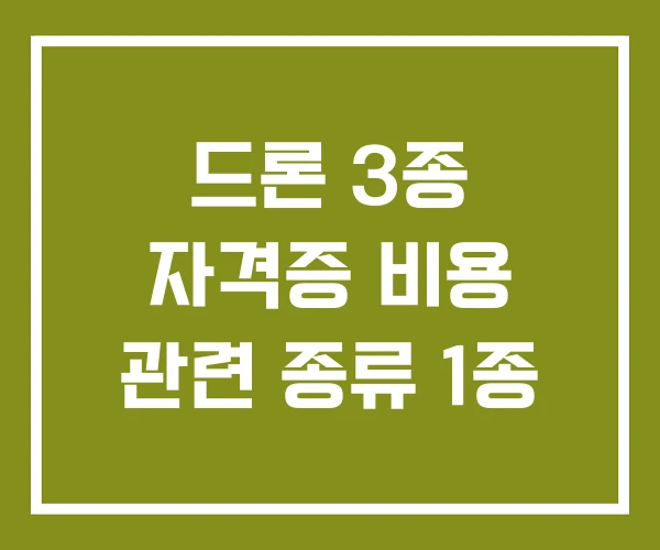 드론 3종 자격증 비용 관련 종류 1종