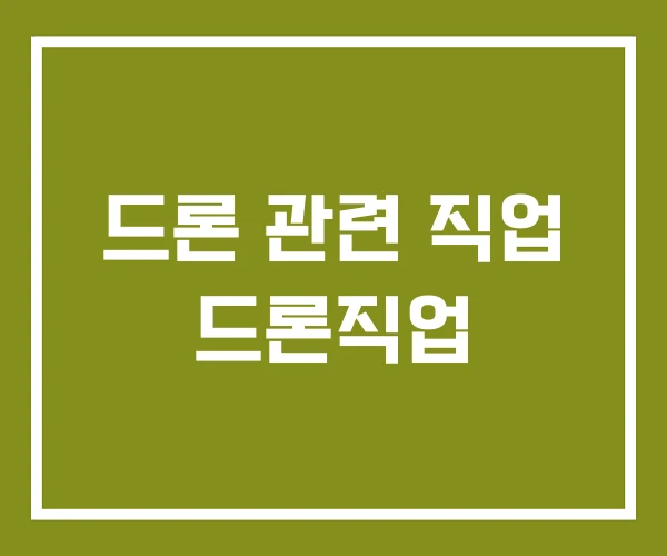 드론 관련 직업 드론직업 드론 관련 직업 드론직업