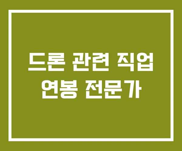 드론 관련 직업 연봉 전문가