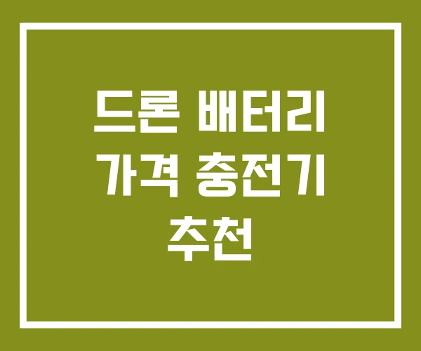 드론 배터리 가격 충전기 추천
