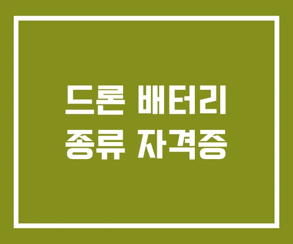 드론 배터리 종류 자격증