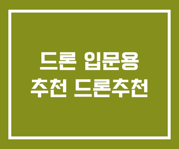 드론 입문용 추천 드론추천 드론 입문용 추천 드론추천