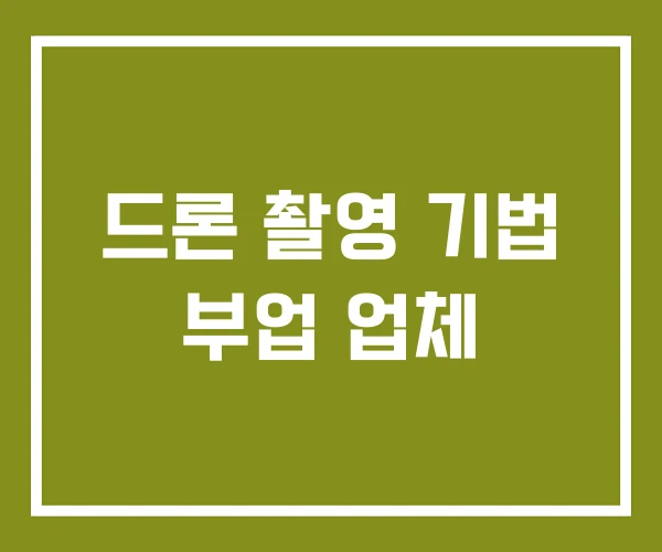드론 촬영 기법 부업 업체