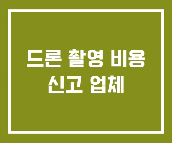 드론 촬영 비용 신고 업체