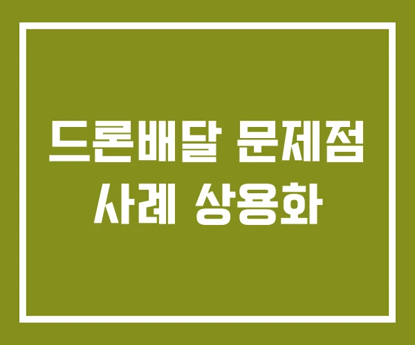 드론배달 문제점 사례 상용화