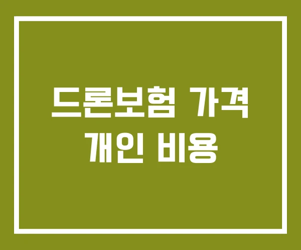 드론보험 가격 개인 비용
