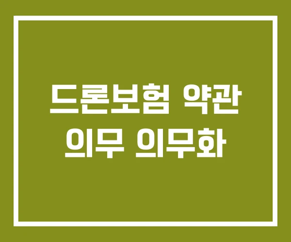 드론보험 약관 의무 의무화 드론보험 약관 의무 의무화