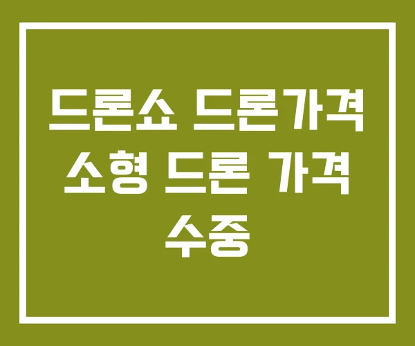 드론쇼 드론가격 소형 드론 가격 수중