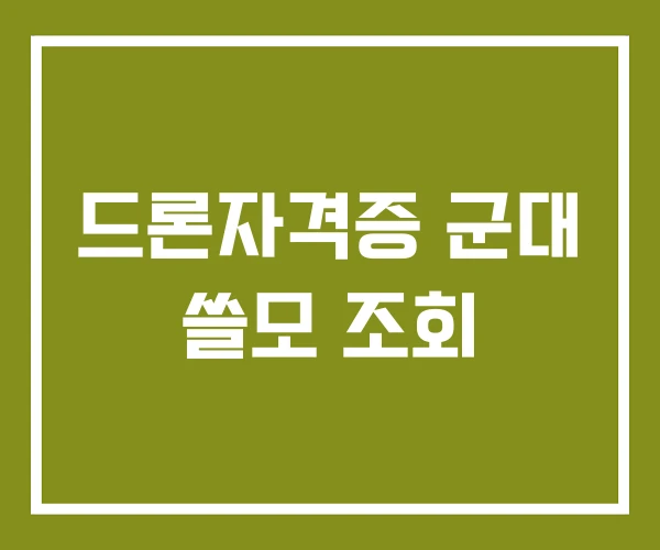 드론자격증 군대 쓸모 조회