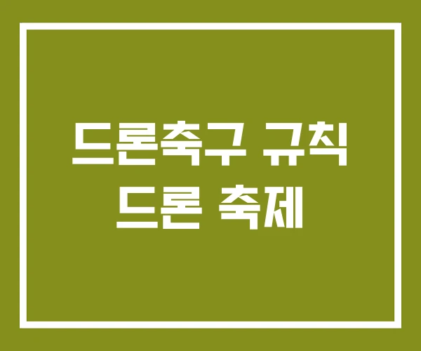 드론축구 규칙 드론 축제 드론축구 규칙 드론 축제