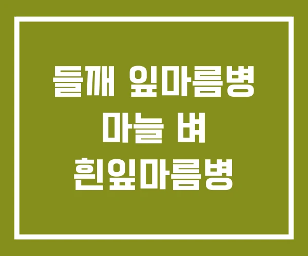 들깨 잎마름병 마늘 벼 흰잎마름병