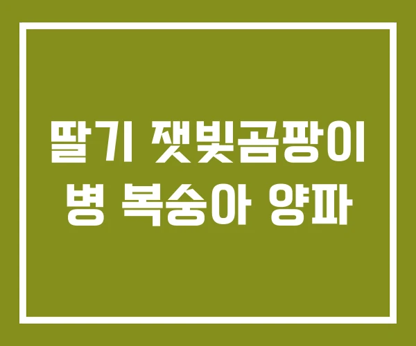 딸기 잿빛곰팡이 병 복숭아 양파