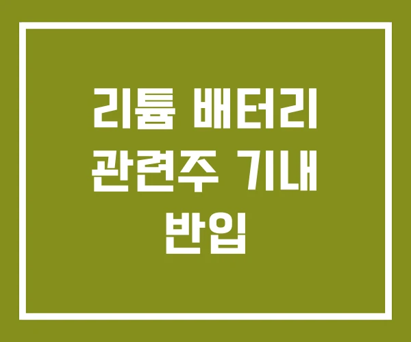 리튬 배터리 관련주 기내 반입