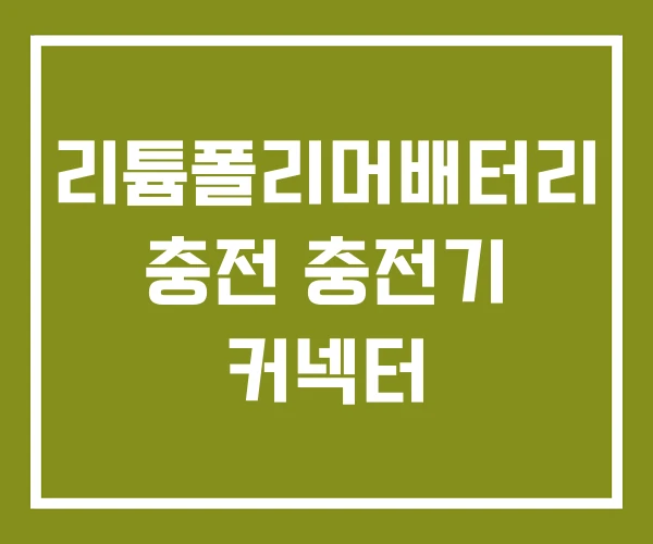 리튬폴리머배터리 충전 충전기 커넥터 리튬폴리머배터리 충전 충전기 커넥터