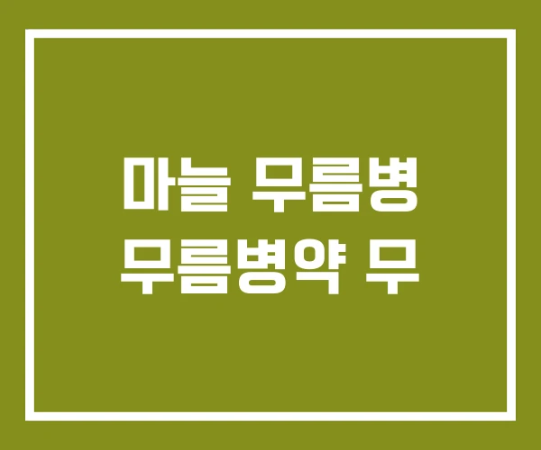 마늘 무름병 무름병약 무