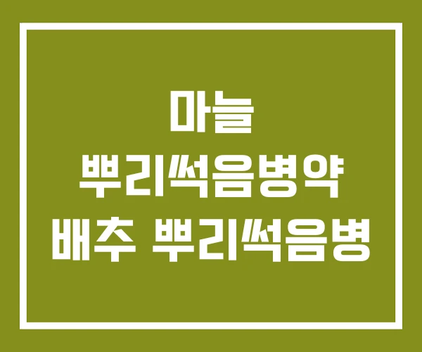마늘 뿌리썩음병약 배추 뿌리썩음병