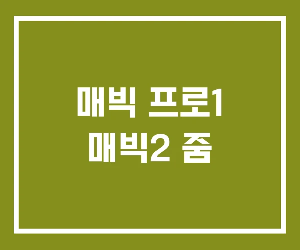 매빅 프로1 매빅2 줌