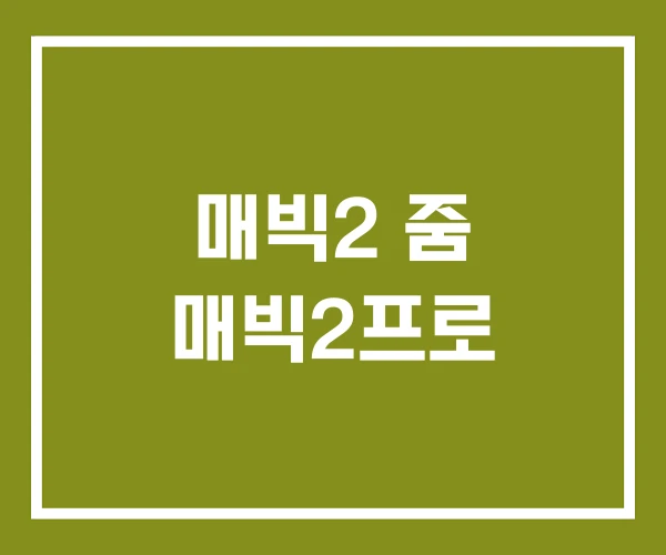 매빅2 줌 매빅2프로