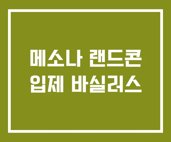 메소나 랜드콘 입제 바실러스