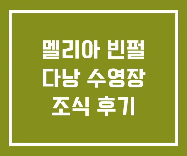멜리아 빈펄 다낭 수영장 조식 후기 멜리아 빈펄 다낭 수영장 조식 후기
