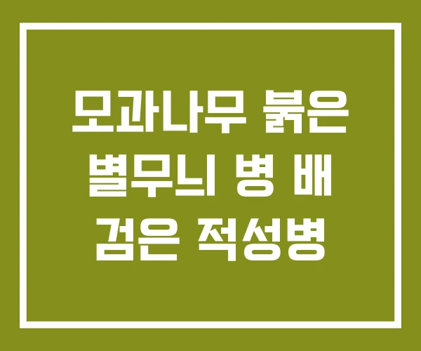 모과나무 붉은 별무늬 병 배 검은 적성병