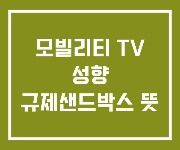 모빌리티 TV 성향 규제샌드박스 뜻