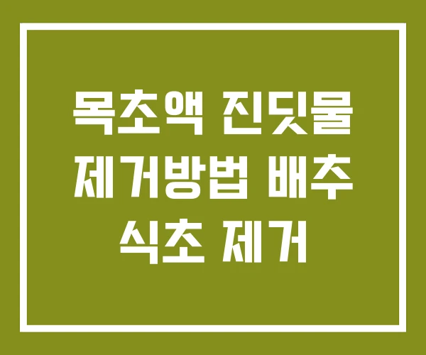 목초액 진딧물 제거방법 배추 식초 제거