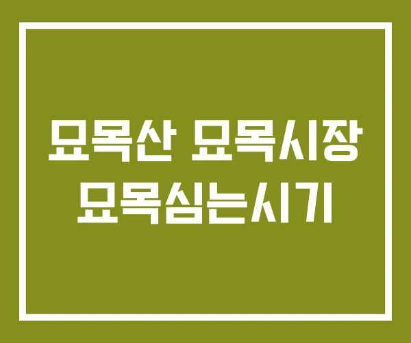 묘목산 묘목시장 묘목심는시기 묘목산 묘목시장 묘목심는시기