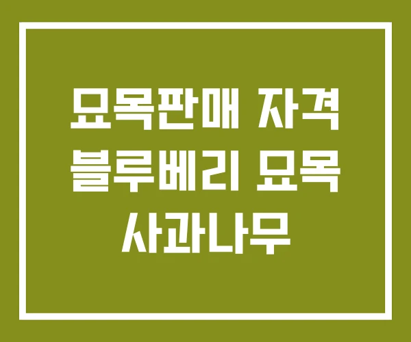 묘목판매 자격 블루베리 묘목 사과나무