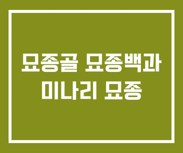묘종골 묘종백과 미나리 묘종