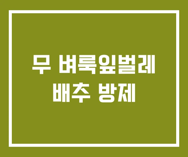 무 벼룩잎벌레 배추 방제