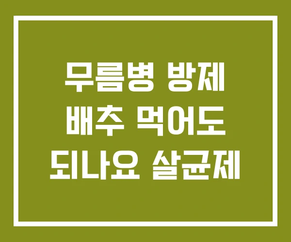 무름병 방제 배추 먹어도 되나요 살균제