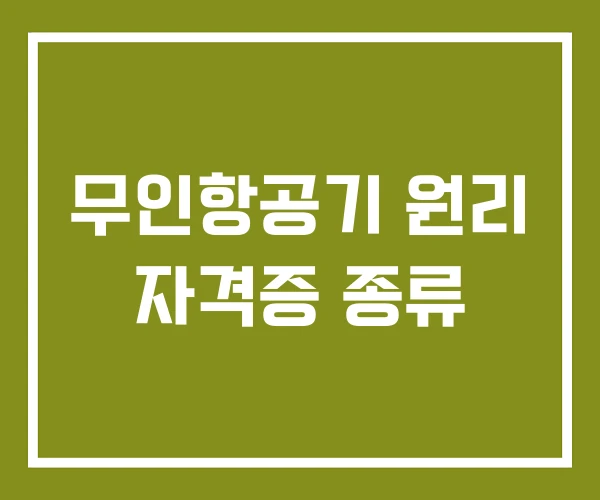 무인항공기 원리 자격증 종류