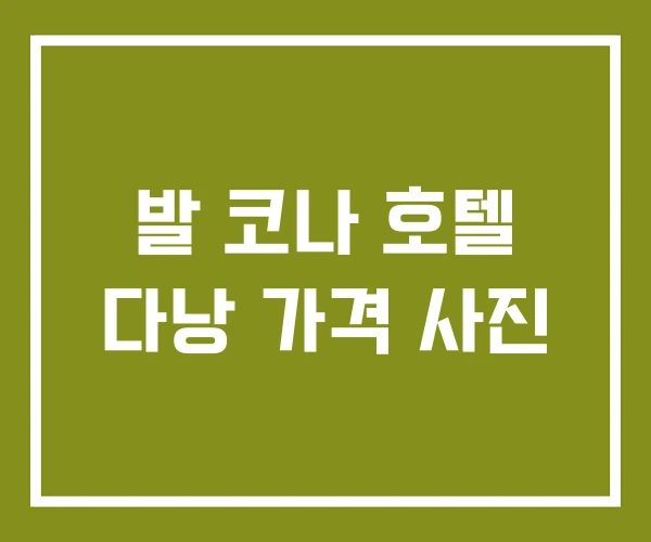 발 코나 호텔 다낭 가격 사진