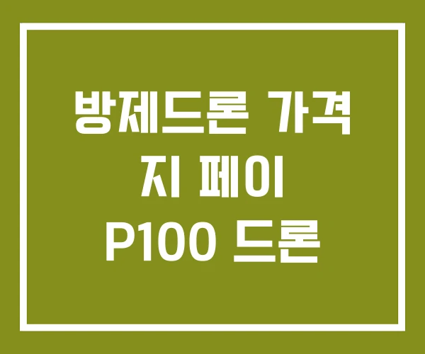 방제드론 가격 지 페이 P100 드론