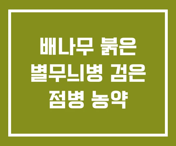 배나무 붉은 별무늬병 검은 점병 농약 배나무 붉은 별무늬병 검은 점병 농약