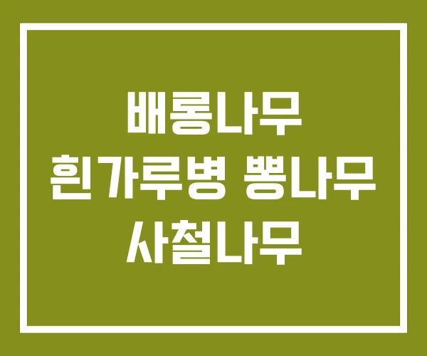 배롱나무 흰가루병 뽕나무 사철나무