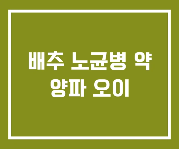 배추 노균병 약 양파 오이