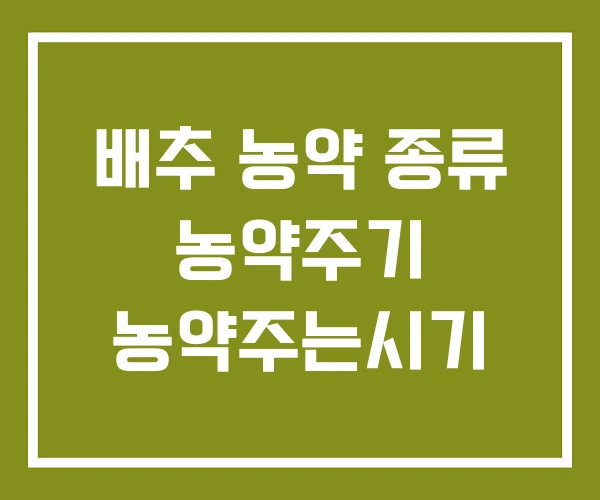 배추 농약 종류 농약주기 농약주는시기