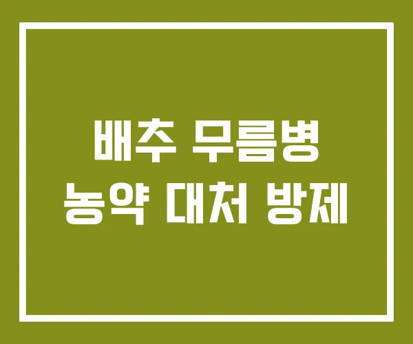 배추 무름병 농약 대처 방제