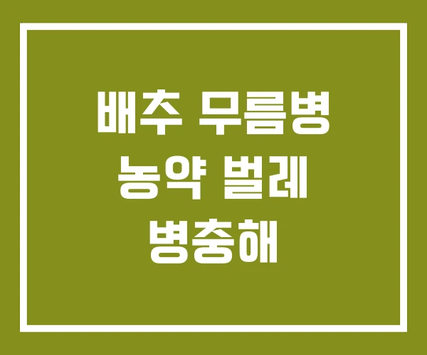 배추 무름병 농약 벌레 병충해