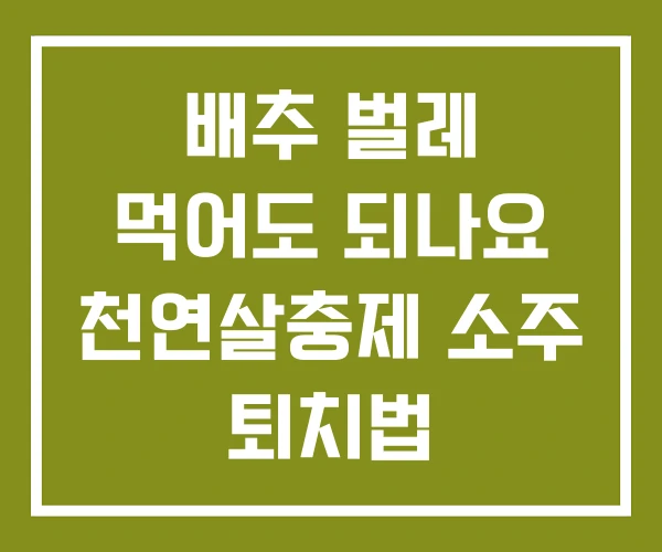 배추 벌레 먹어도 되나요 천연살충제 소주 퇴치법