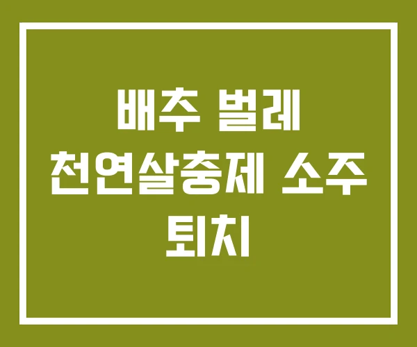 배추 벌레 천연살충제 소주 퇴치