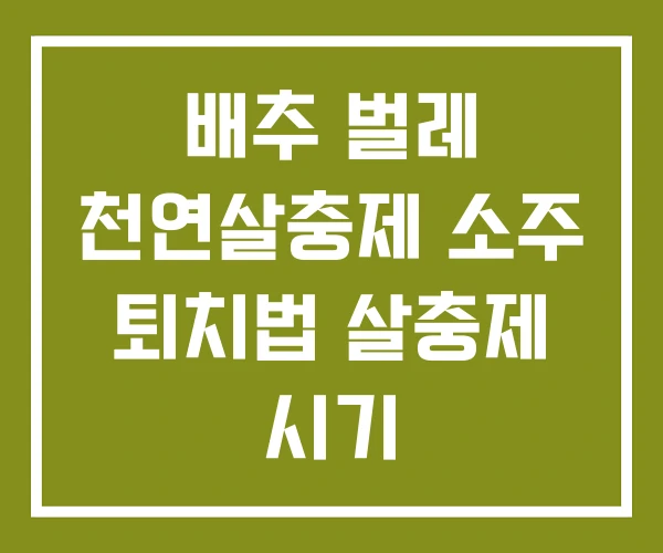 배추 벌레 천연살충제 소주 퇴치법 살충제 시기 배추 벌레 천연살충제 소주 퇴치법 살충제 시기