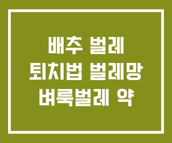 배추 벌레 퇴치법 벌레망 벼룩벌레 약