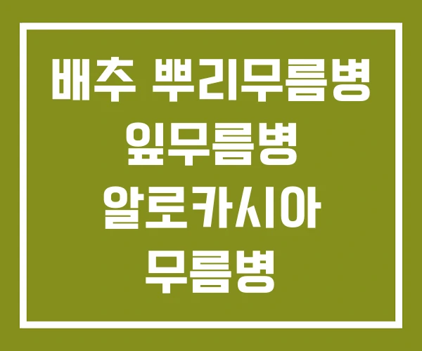 배추 뿌리무름병 잎무름병 알로카시아 무름병