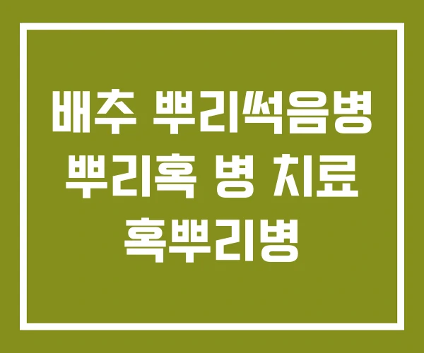 배추 뿌리썩음병 뿌리혹 병 치료 혹뿌리병